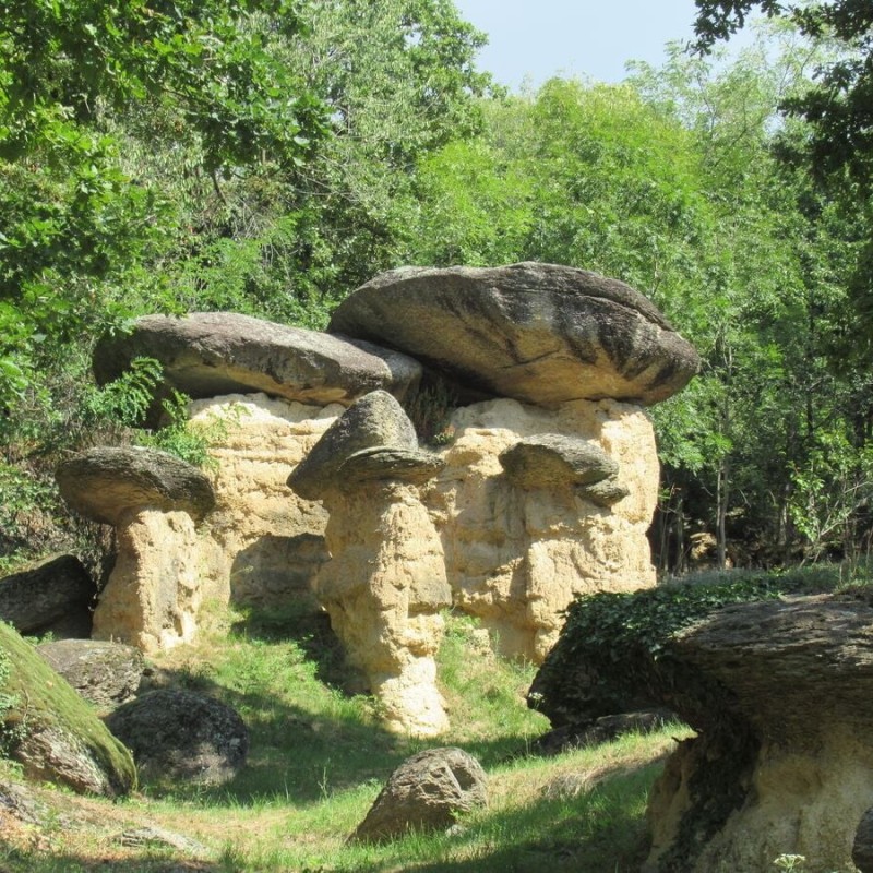 Vieni con noi a scoprire se i Ciciu sono Funghi giganti o masche pietrificate